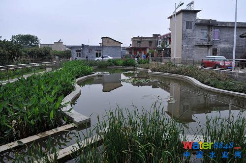 在廣西玉林市玉東新區(qū)茂林鎮(zhèn)金谷村,污水處理設(shè)施不僅改善了環(huán)境,也成了村里一道美麗風(fēng)景(4月10日攝)。 蒼蠅亂飛的臭水溝不見了,池塘的死水變活了,臟亂差的農(nóng)村變美了……廣西積極推進(jìn)農(nóng)村環(huán)境連片整治示范工作,讓越來越多的農(nóng)村舊貌換新顏。2012年,廣西共有18個縣500個村完成了示范整治任務(wù),實施污水處理設(shè)施487套、生活垃圾收集轉(zhuǎn)運(yùn)設(shè)施設(shè)備1.2226萬個(臺、套),受益人口180萬。今年,廣西計劃投資5.25億元,在19個縣(自治縣、市、區(qū))開展農(nóng)村環(huán)境連片整治示范項目,使全廣西農(nóng)村每年可增加生活污水處理能力1350萬噸。(新華社記者 周華 攝)