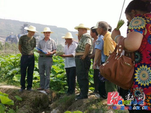 (xing)Ŀָ]Ո(qng)ɲȺȫ̅c