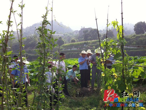 l(xing)(zhn)ˮ̎S(xing)ĿO(sh)ָ]ˆT