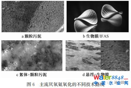 δˮ̎ˇl(f)չɷҎ(gu)ɼ(yng)