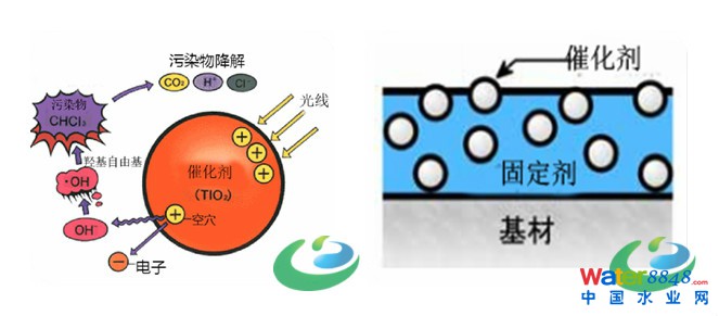 1471571615129581.jpg 1_meitu_17.jpg